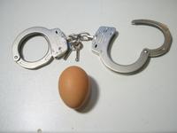 Image of Yuil handcuffs, Model No Y-01 K